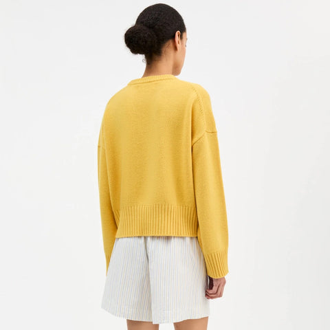 Edgar Shorts ( Yellow/Blue Stripe)
