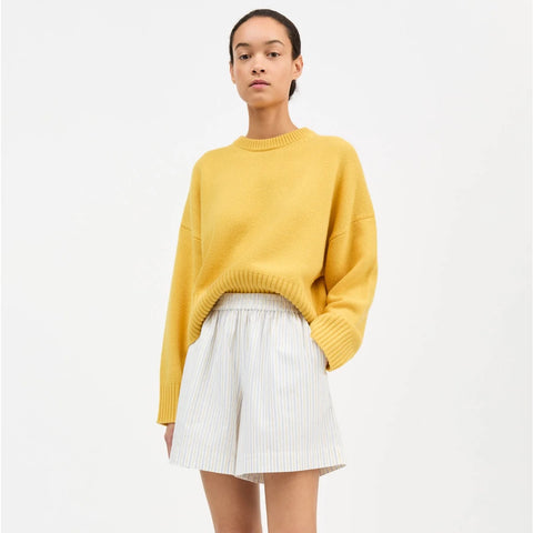 Edgar Shorts ( Yellow/Blue Stripe)