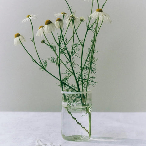 Peter Glass Small (White)